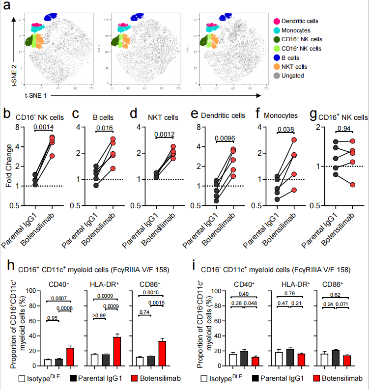 Fc enhanced anti CTLA-4 antibody Botensilimab treats tumors that respond poorly to conventional immunotherapy